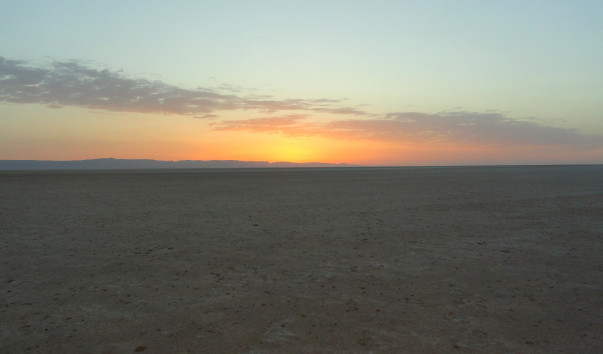 DSC00618