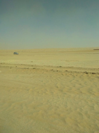 photo 1733842