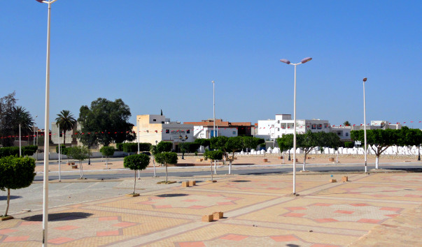 DSC00800