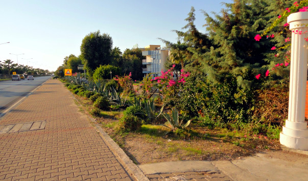 DSC01990