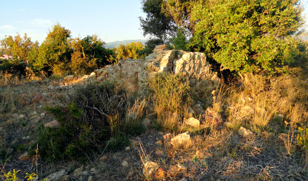 DSC02007