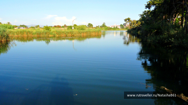 photo 1793218