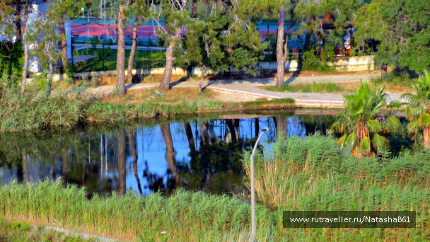 photo 1799457