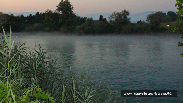 photo 1825385