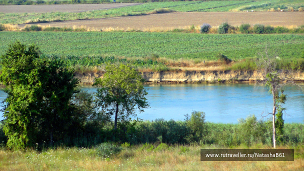 photo 1829562