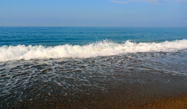 DSC02409