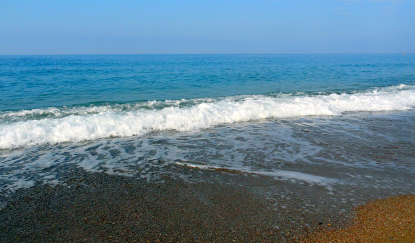 DSC02411
