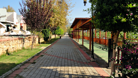 photo 1859917