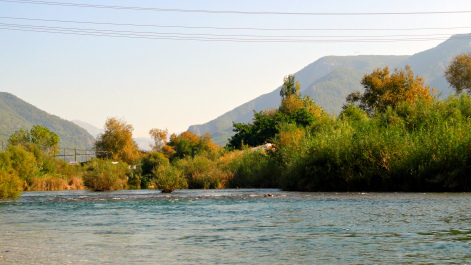 photo 1862958