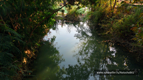 photo 1869730