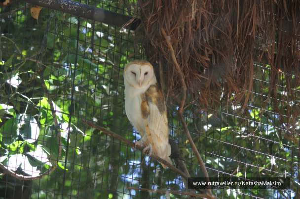 photo 390251