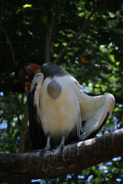 photo 390253