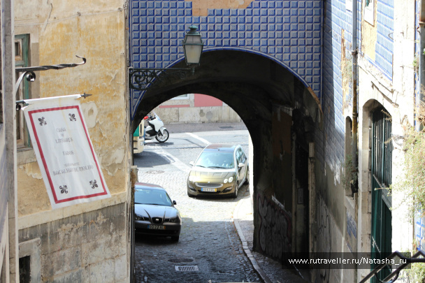photo 141441