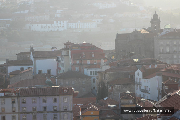 photo 141516