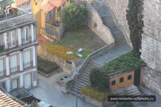 photo 141517
