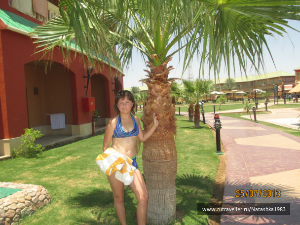 photo 492003