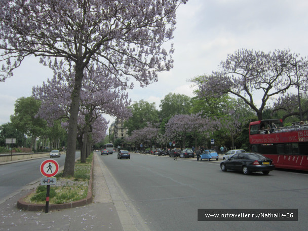 photo 698549