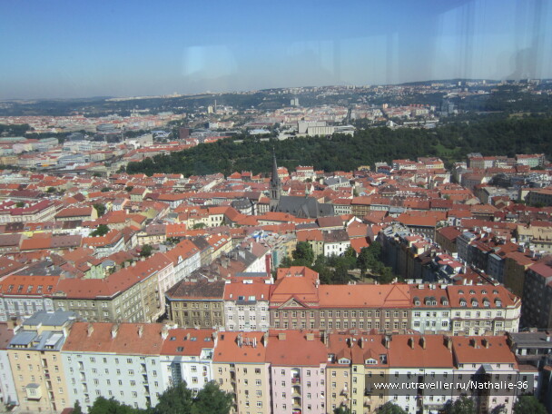 photo 579974