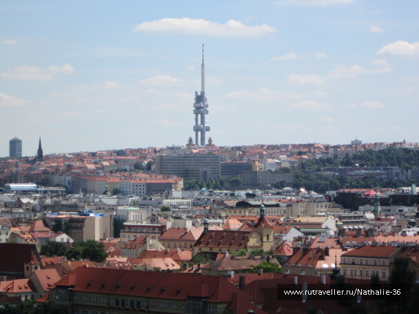 photo 587962