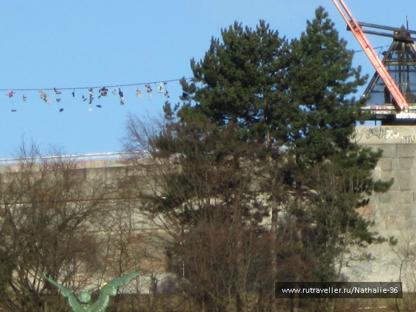photo 613438