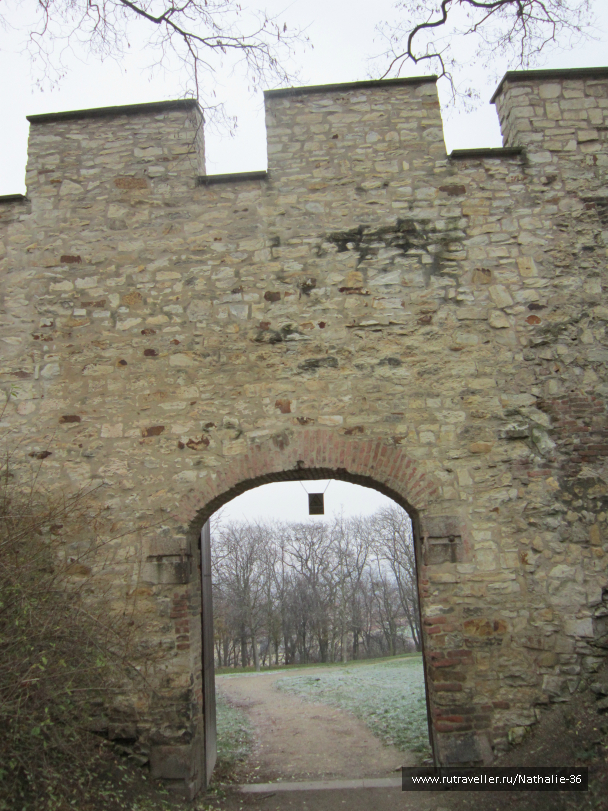 photo 630662