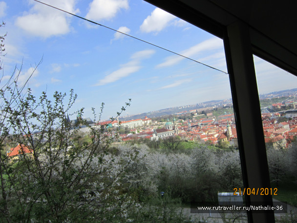 photo 636273