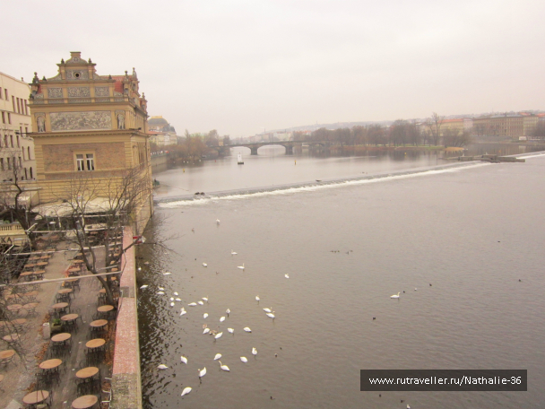 photo 653871