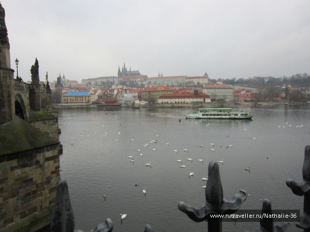 photo 653874