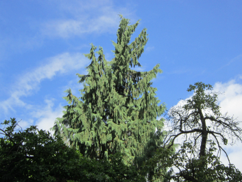 photo 628832