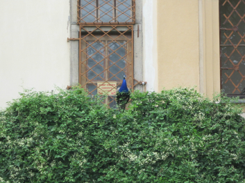 photo 628836