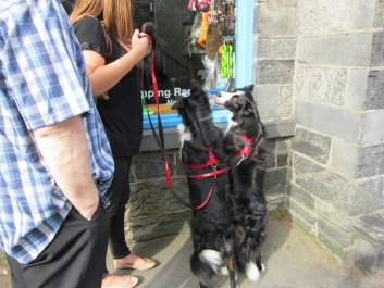 photo 752968