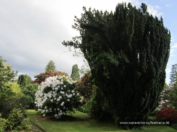 photo 813273