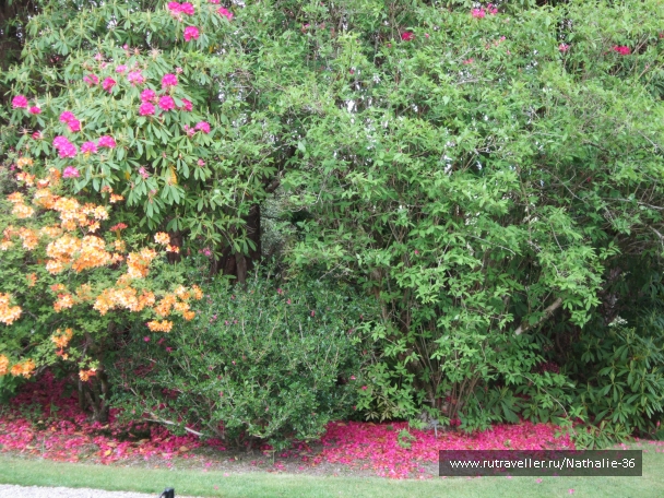 photo 813949