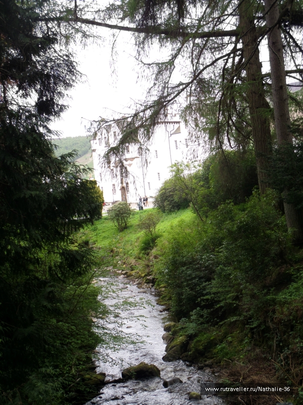 photo 818533