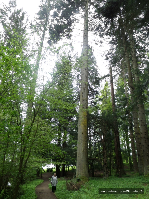 photo 820262