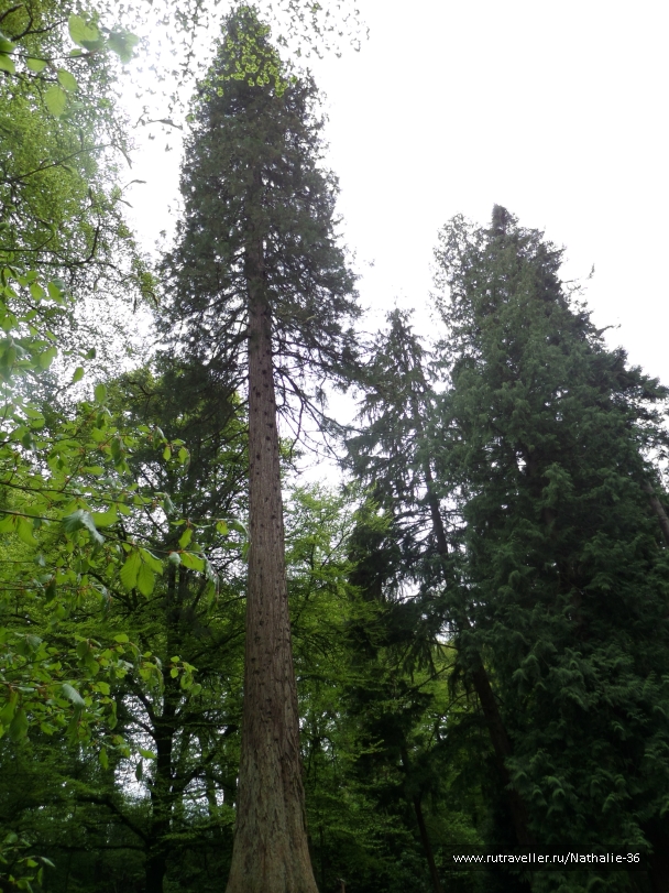 photo 820263