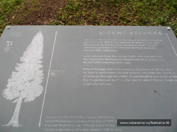 photo 820265