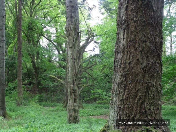 photo 820268