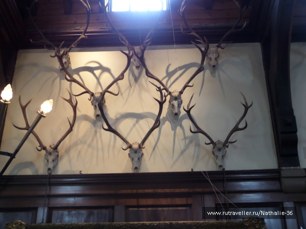 photo 820272
