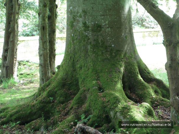 photo 827327