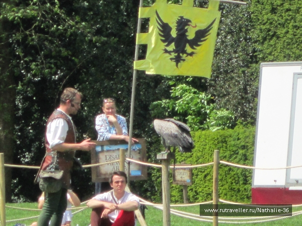 photo 878282