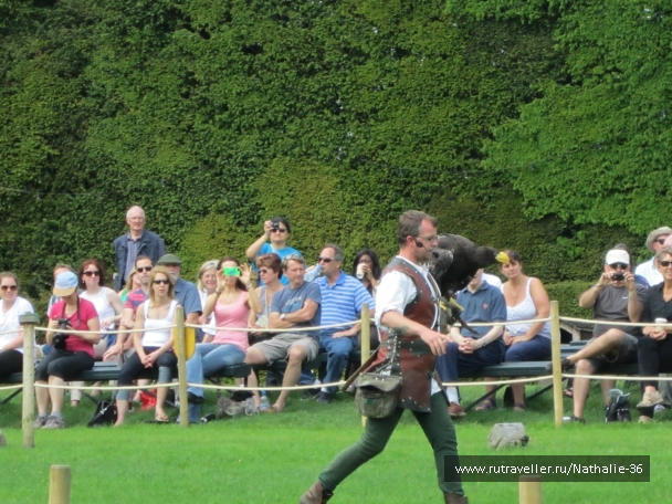 photo 878283