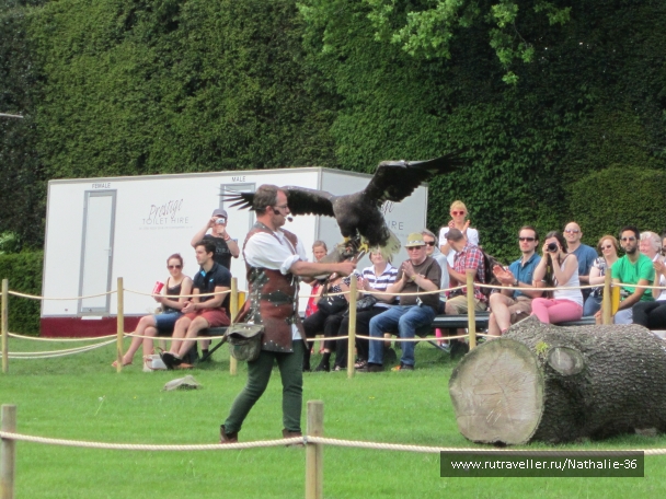 photo 878284