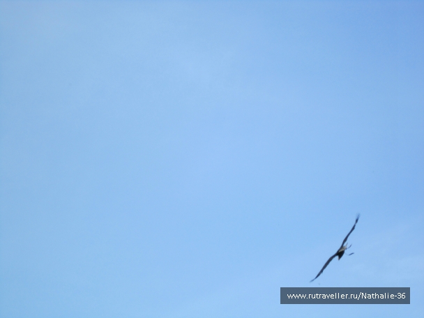 photo 878285
