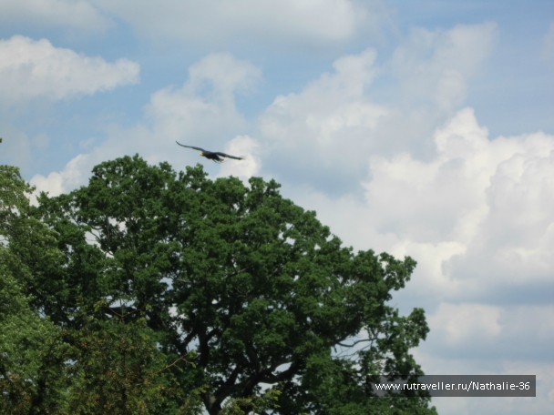 photo 878287