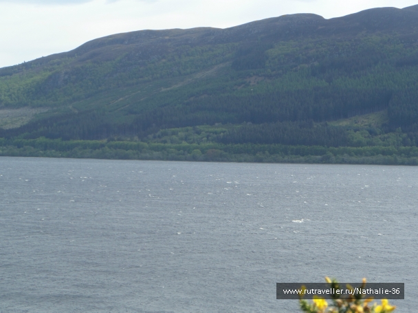 photo 963084