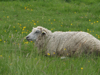 photo 1057509