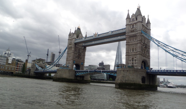 SAM_0135