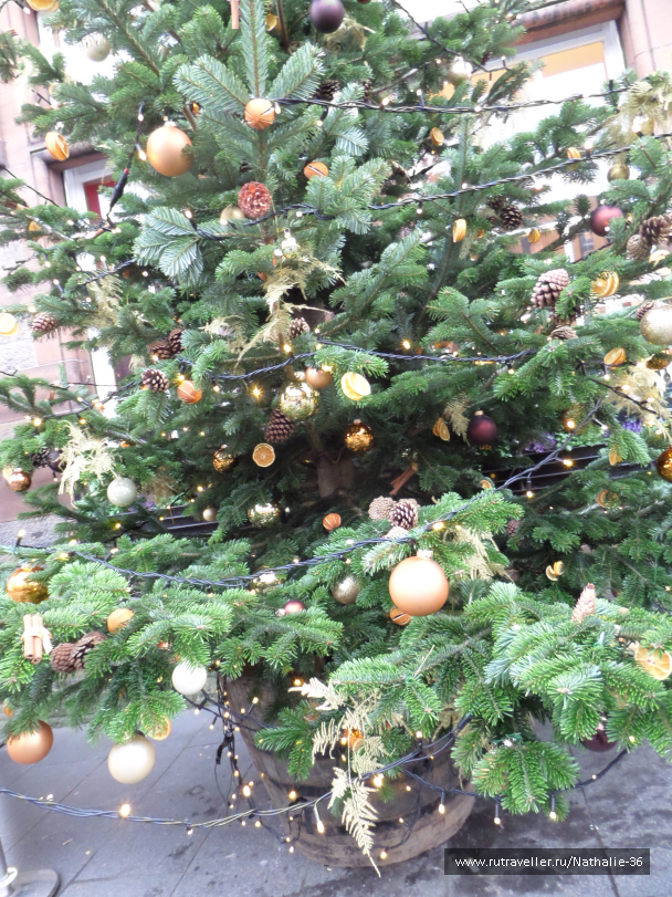 photo 1587223