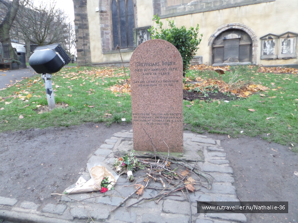 photo 1591752